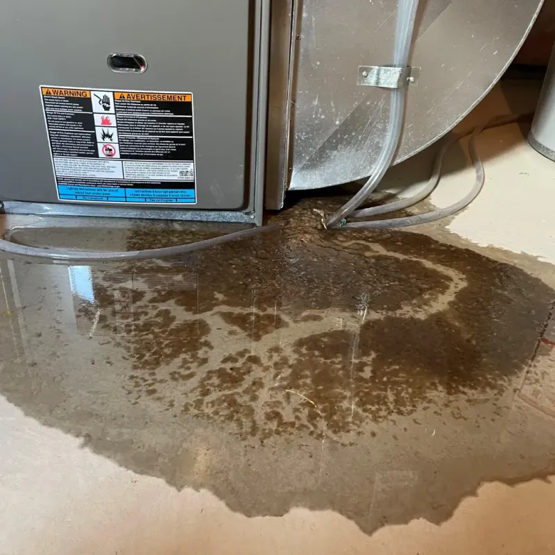 Appliance Leak Cleanup in Oscoda County, MI